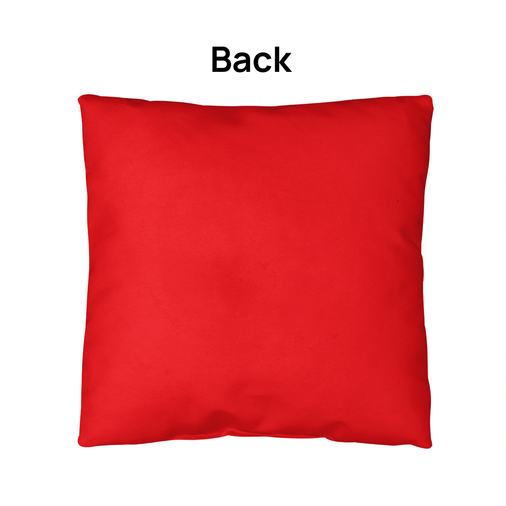 Courage to Stand for Love - Pillow