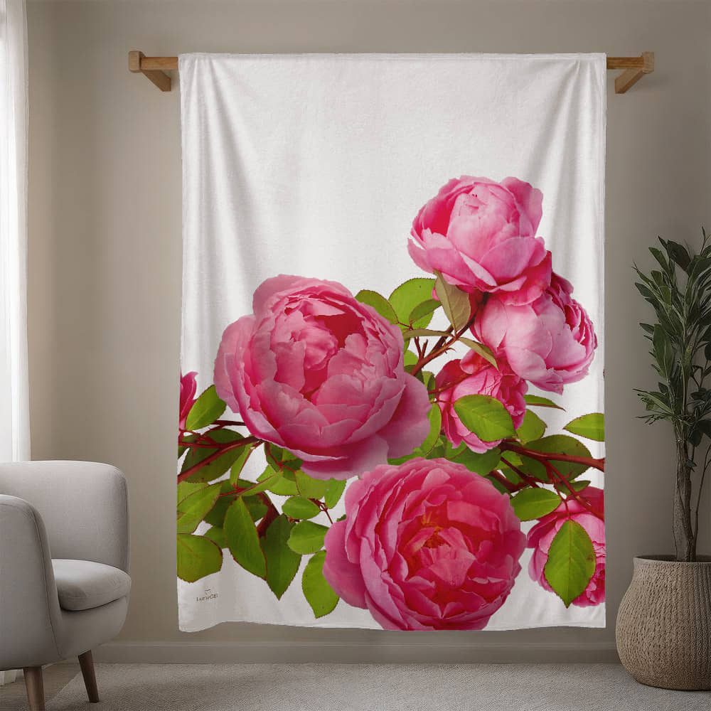 Rose blanket