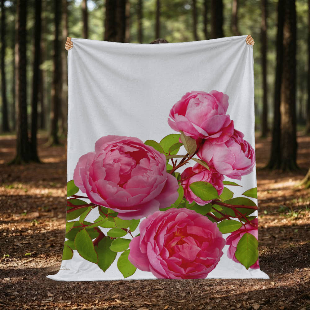 Rose blanket