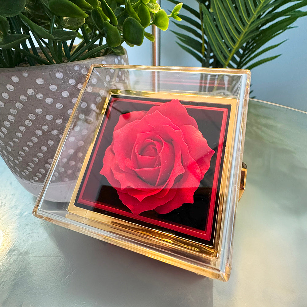 A Mother's Love Never Fades (Quinceañera)